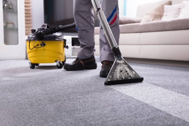 auckland carpet cleaning