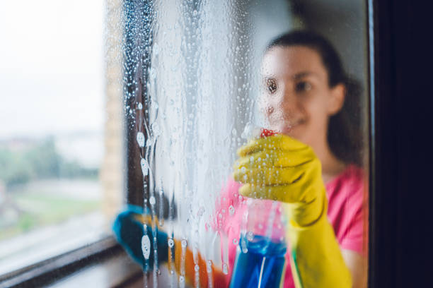 auckland cheap apartment cleaning services
