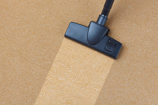 commercial carpet cleaners auckland
